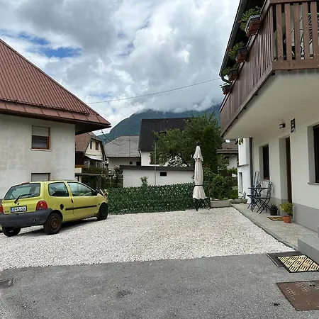 Apartment Apartma Alma *